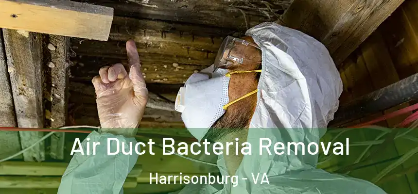  Air Duct Bacteria Removal Harrisonburg - VA