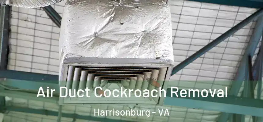  Air Duct Cockroach Removal Harrisonburg - VA