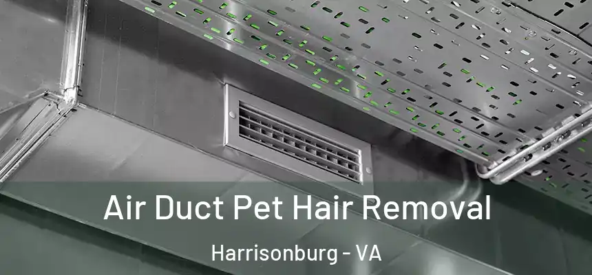  Air Duct Pet Hair Removal Harrisonburg - VA