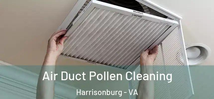  Air Duct Pollen Cleaning Harrisonburg - VA