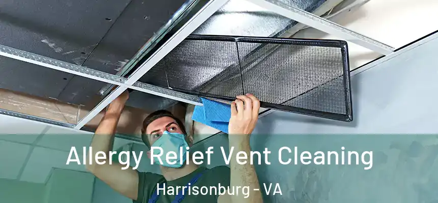  Allergy Relief Vent Cleaning Harrisonburg - VA