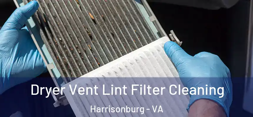  Dryer Vent Lint Filter Cleaning Harrisonburg - VA