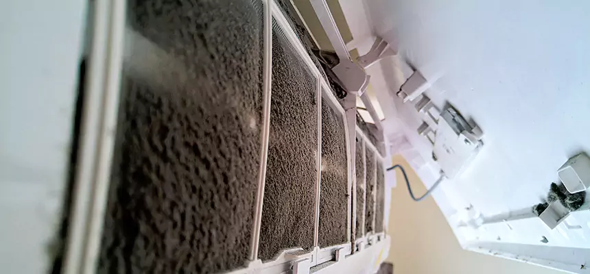 Preventive Air Duct Bacteria Removal in Harrisonburg