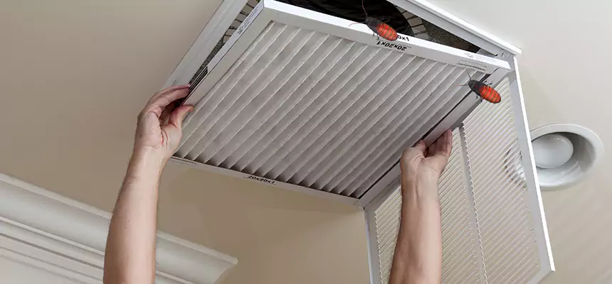 Preventive Cockroach-Proofing for Ducts in Harrisonburg