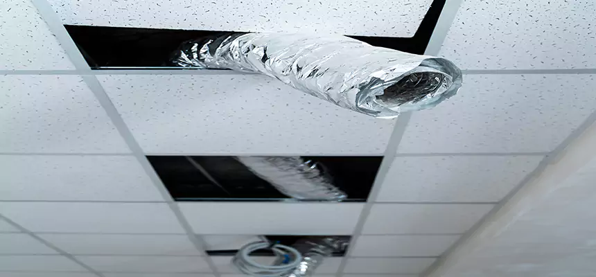 Affordable HVAC Sanitizing After Pest Removal in Harrisonburg