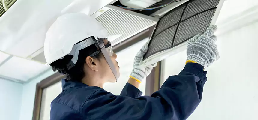 Our Mold & Mildew Removal from Air Ducts Services in Harrisonburg, VA