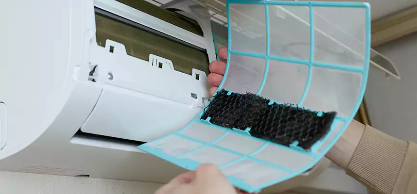 Gentle Ductwork Odor-Control Pet Dander Duct Cleaning in Harrisonburg, VA