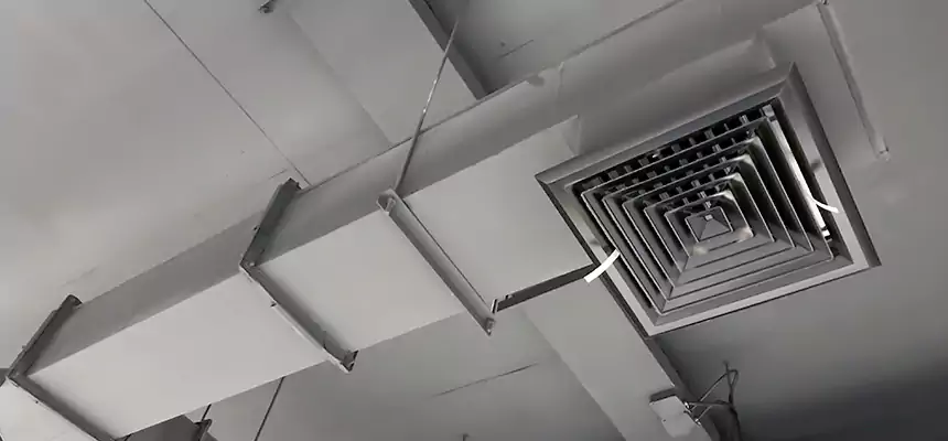 Our Rodent Droppings In Vents Services in Harrisonburg, VA