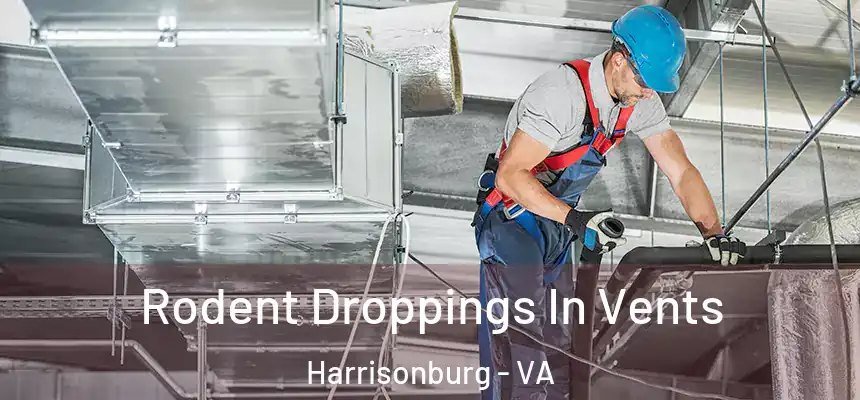 Rodent Droppings In Vents Harrisonburg - VA