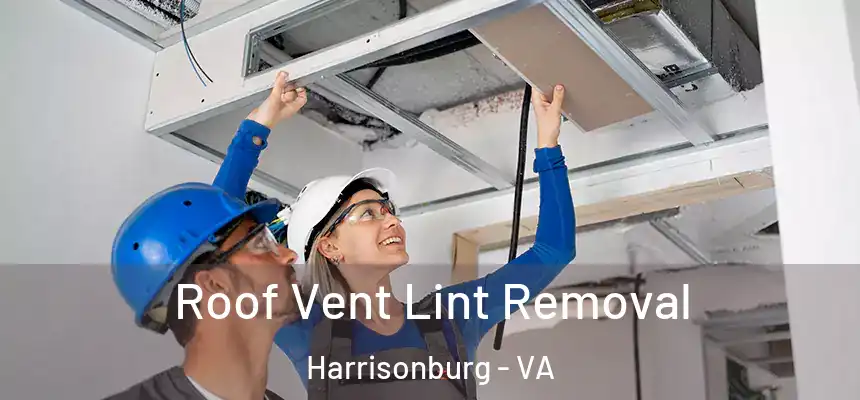 Roof Vent Lint Removal Harrisonburg - VA