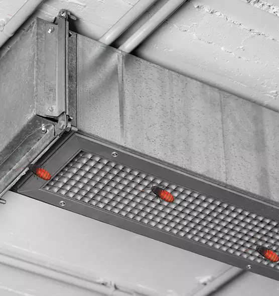About Air Duct Cockroach Removal in Harrisonburg, VA