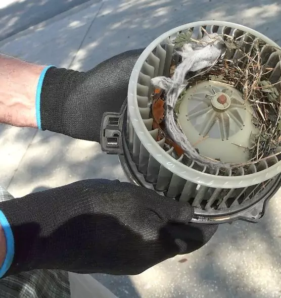 About Air Duct Rat Removal in Harrisonburg, VA