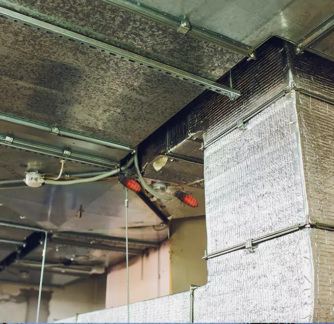 Why Homeowners & Businesses Trust Us in Harrisonburg, VA?