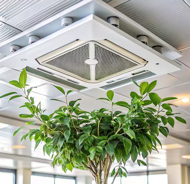 Why Homeowners & Businesses Trust Us in Harrisonburg, VA